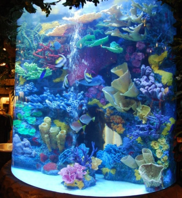 Aquarium modern dan canggih dengan tampilan hiasan karang buatan